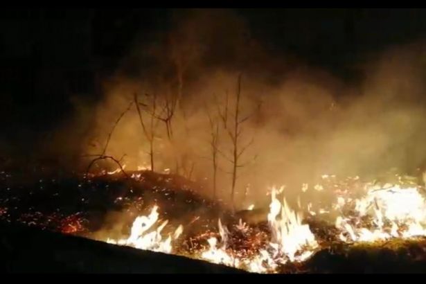 İçişleri Bakanlığı'ndan 'ormanları biz yaktık' açıklamasına yanıt