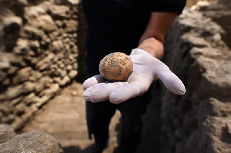 İnsan dışkısıyla korunmuş bin yıllık tavuk yumurtası bulundu