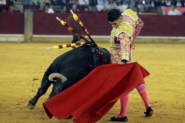 İspanya mahkemesi 'Boğalara işkenceye devam' dedi!