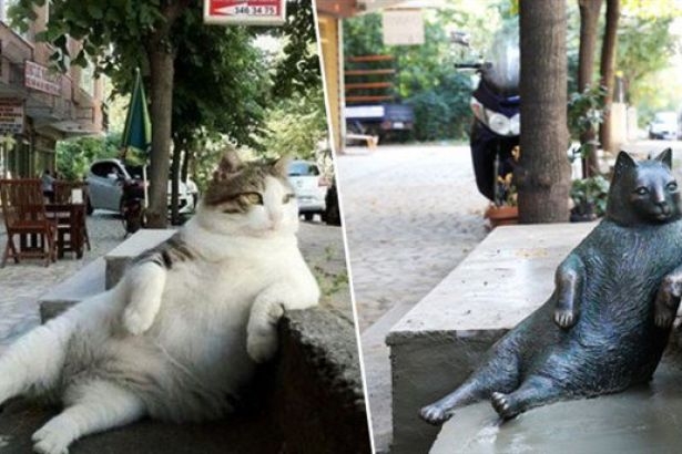 Kadıköy'ün kedisi 'Tombili'nin heykeli çalındı