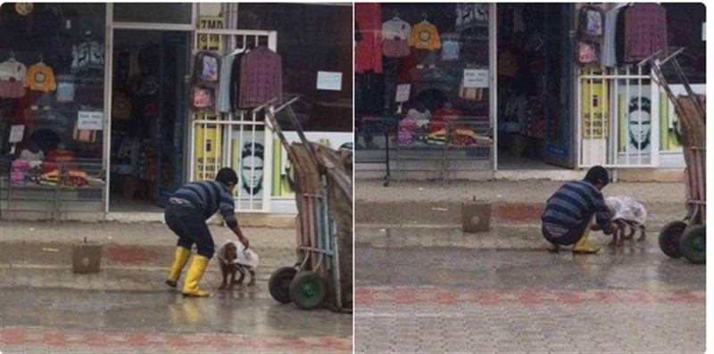 Kağıt toplayıcısı çocuk köpeği yağmurdan korudu!
