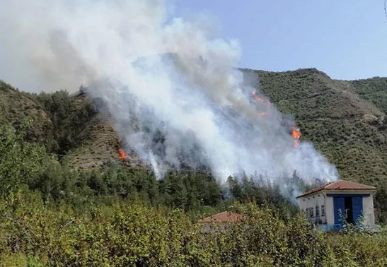 Karabük'ün Ödemiş köyündeki ormanlık alanda yangın başladı