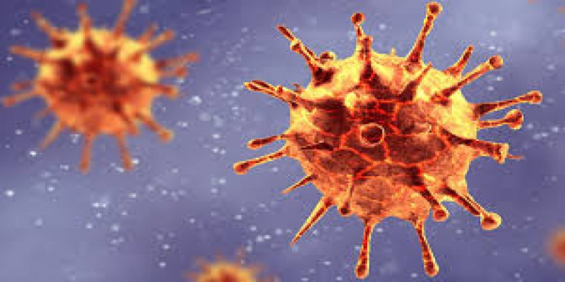 Koronavirüse benzeyen yeni bir virüs keşfedildi