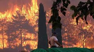 Manavgat, Alanya, Akseki ve Gündoğmuş'taki yangınlara müdahale ediliyor