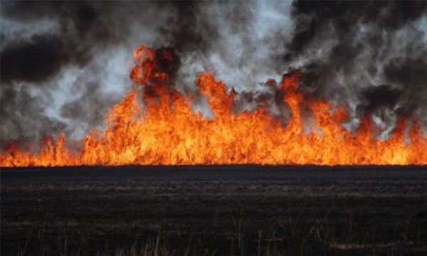 Mersin'deki Kuş Cenneti'nde çıkan yangına müdahale edilmiyor!