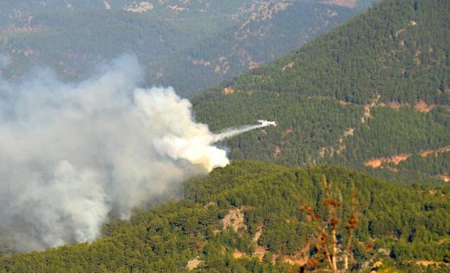 Mersin'deki orman yangınına havadan müdahale ediliyor