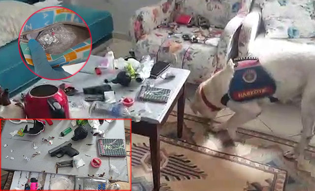 Narkotik köpeği makyaj çantasına gizlenen uyuşturucuyu buldu