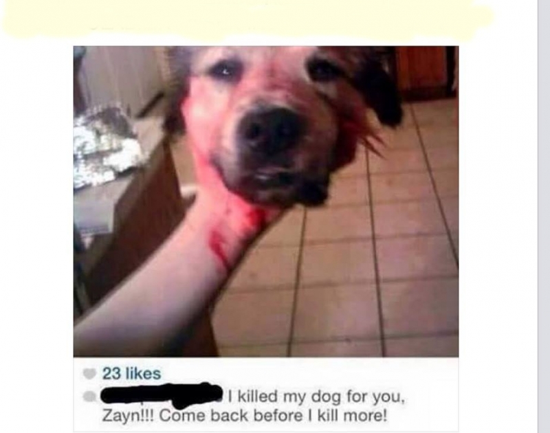 One Direction için köpeğin başını kesti!