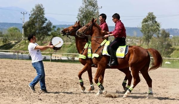 Polislerden atlara davullu işkence!