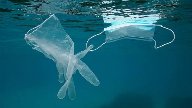 Rapor: Okyanuslarda 'yüzen' 1.6 milyar maske hayvanları öldürüyor