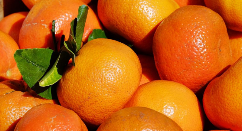 Rusya, Türkiye’den gönderilen 370 ton mandalinayı geri çevirdi