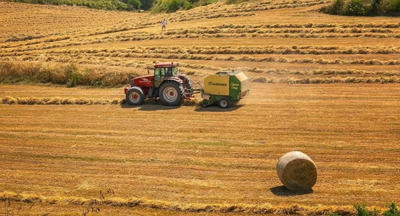 Rusya'dan Türkiye'ye tarım ürünleri ihracatı yüzde 17 arttı