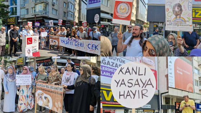 Saadet Partisi'nden Öta - Nazi eylemi: Hayvanların öldürülmesi vicdani değildir