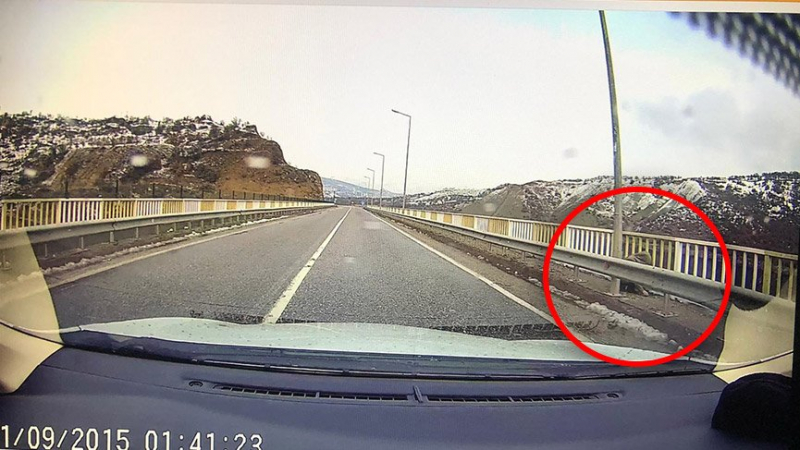 Sarı Saltuk Köprüsü'nde güvenlik kamerasına yansıyan kişinin Gülistan Doku olduğu doğrulandı