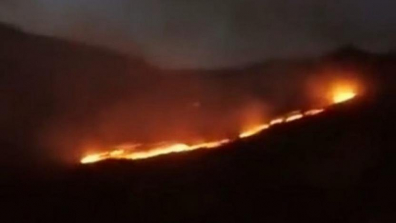 Şemdinli'de orman yangını: 'Yangına müdahale edilmiyor'