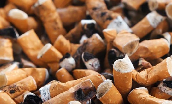 'Sigaraya başlama yaşı 13’lere kadar düştü, her yıl 8 milyon insan sigaradan ölüyor'