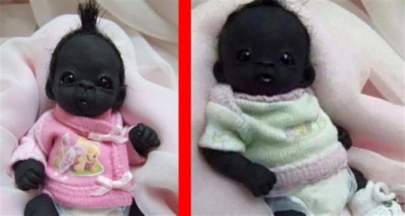 Siyah bebekle ilgili gerçek ortaya çıktı!