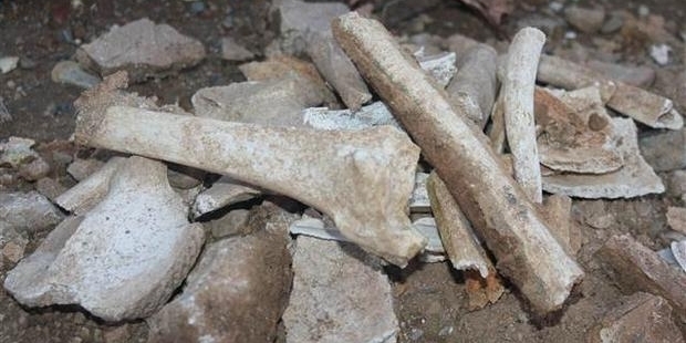 Taksim Meydanı'nda kemik parçaları!