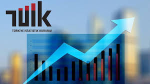 TÜİK: Türkiye ekonomisi 2020'de yüzde 1,8 büyüdü