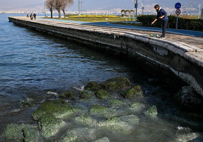 Uzmanlardan Ege Denizi'nde su çekilmesine ilişkin değerlendirme: 'Korkulacak bir şey yok'