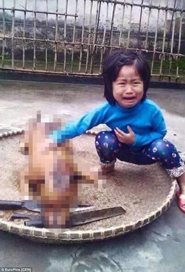 Vietnamlı çocuk kayıp köpeği et tezgahında görünce...