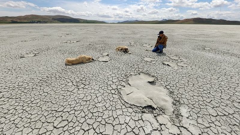 'Yağışlar yüzde 66 azaldı, Türkiye'nin büyük bir bölümünde kuraklık var'