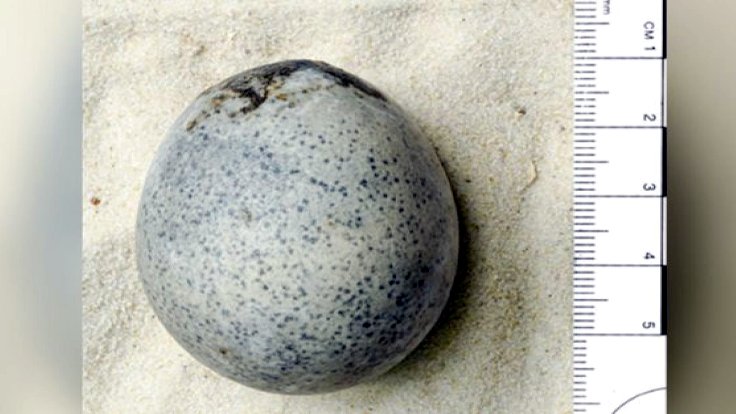 Yanlışlıkla çatlatılan 1700 yıllık yumurtadan insanı bayıltacak bir koku yayıldı