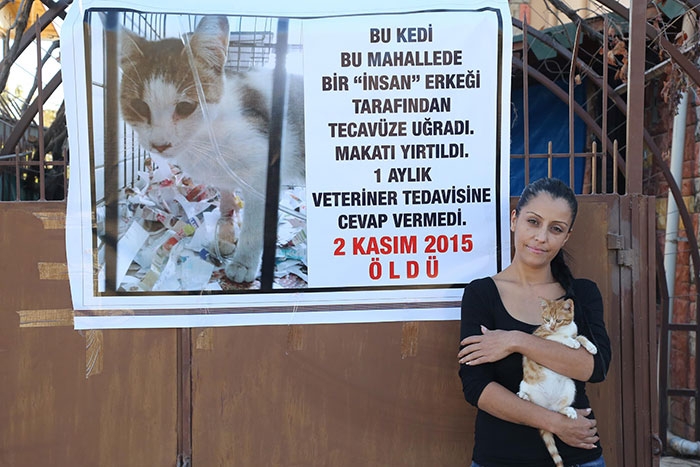 Kedinin tecavüz sonucu ölmesini afişle protesto etti! Sapık mahalle...