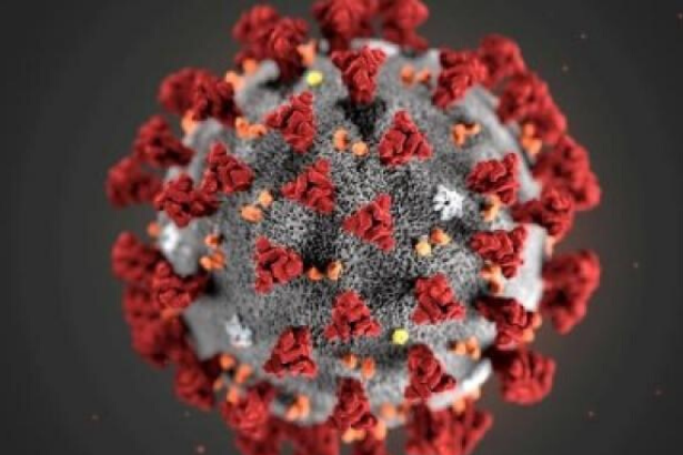 Yeni koronavirüs yüzeyde saatlerce kalabiliyor