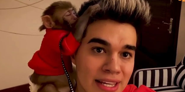 Youtuber Meriç İzgi'nin evindeki maymuna el konuldu