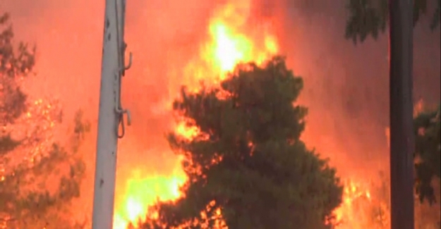 Ersoy: Marmaris'teki yangınlar tamamen kontrol altına alındı ve söndürüldü