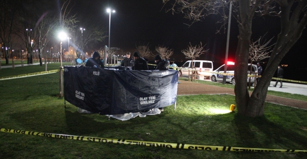 Zeytinburnu'nda ağaca asılı erkek cesedi bulundu