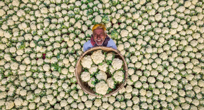 2021 Basın Fotoğrafçılığı Yarışması'nı 'Mutlu çiftçi' adlı eser kazandı