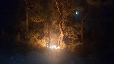 Adana'da 6 noktada çıkan orman yangını söndürüldü
