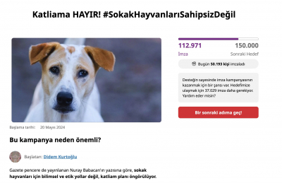 AKP'nin olası köpek katliamına karşı 2 günde 100 binin üzerinde imza toplandı