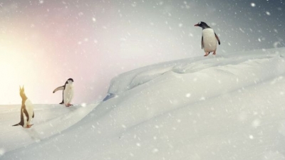 Antarktika'ya yağan karın miktarı artış gösteriyor