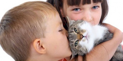Araştırma: Kedilerinizin size daha çok sevgi göstermesini nasıl sağlarsınız?