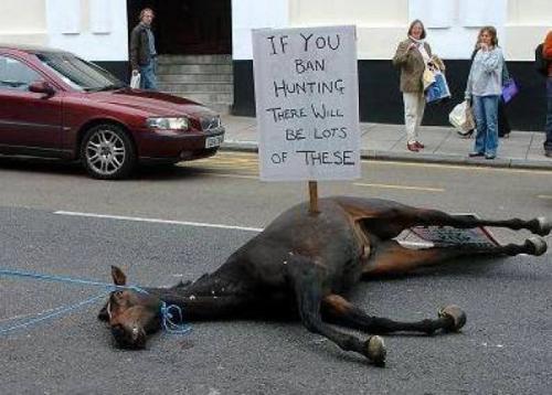 Ingiltere'de avcılar av yasağını at öldürerek protesto etti!