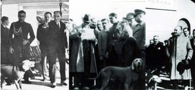 Atatürk'le yaşayan köpekler: Alp, Alber ve Foks