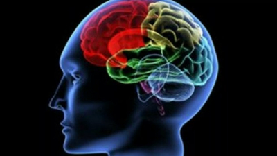 Bilim insanları beyin hasarının iyileştirilmesine yarayan bir madde elde etti