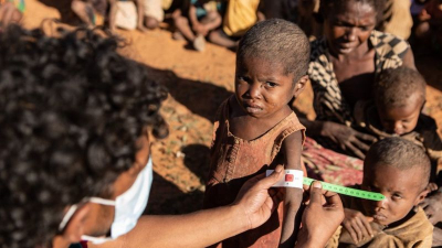BM: Madagaskar'da hayatta kalmak için böcek yemeye başladılar