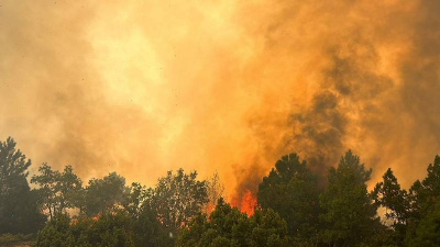 Çanakkale ve Kütahya'da orman yangını