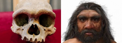 Ejderha adam: Yeni bir insan türüne ait olduğu düşünülen, 146 bin yıllık kafatası