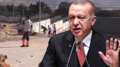 Erdoğan'dan Konya Hayvan Barınağı'ndaki vahşete ilişkin açıklama