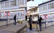 Erzurum'da döverek bayılttığı köpeği köprüden attı!