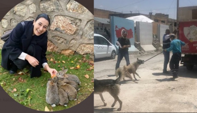 Gazeteci Melis Alphan: Hayvanları ölüm kamplarına atanların dilerim ahirette iki yakası bir araya gelmesin