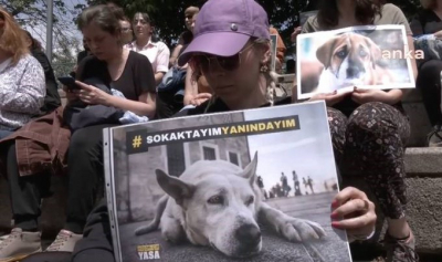Hayvan hakları savunucuları TBMM önünde: Katilleri topla, hayvanları değil, toplayamazsın, hapsedemezsin