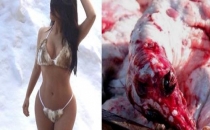 Kim Kardashian hayvan cesedi giydi!