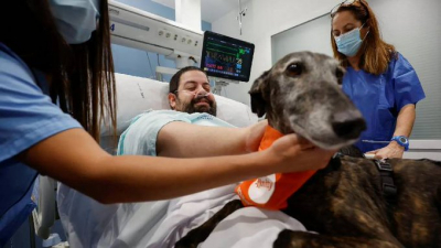 İspanya'da bir hastanede yoğun bakım hastalarına köpekle terapi