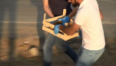 İstanbul'da yol kazı çalışmasında havan topu mermisi bulundu